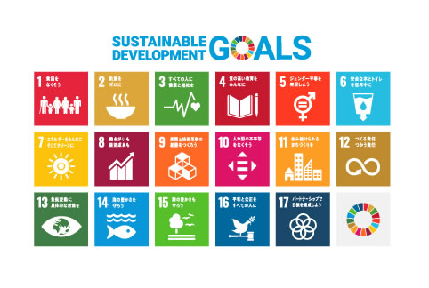 Initiatives for the SDGs