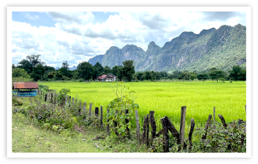 カルスト地形と水田