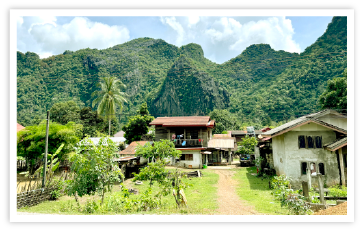 8月、雨季の草木が生い茂る生き生きとした風景