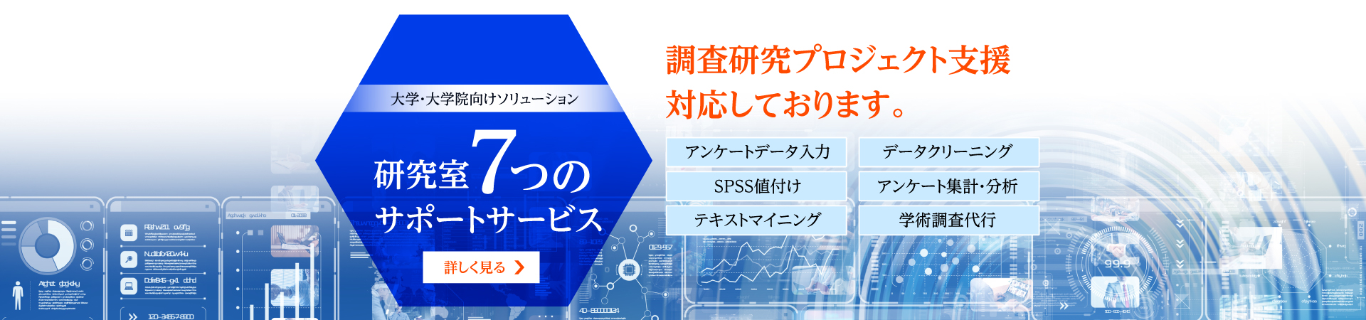 研究室7つのサポートサービス　次年度予算見積り承ります。アンケートデータ入力、データクリーニング、SPSS値付け、アンケート集計・分析、テキストマイニング、学術調査代行